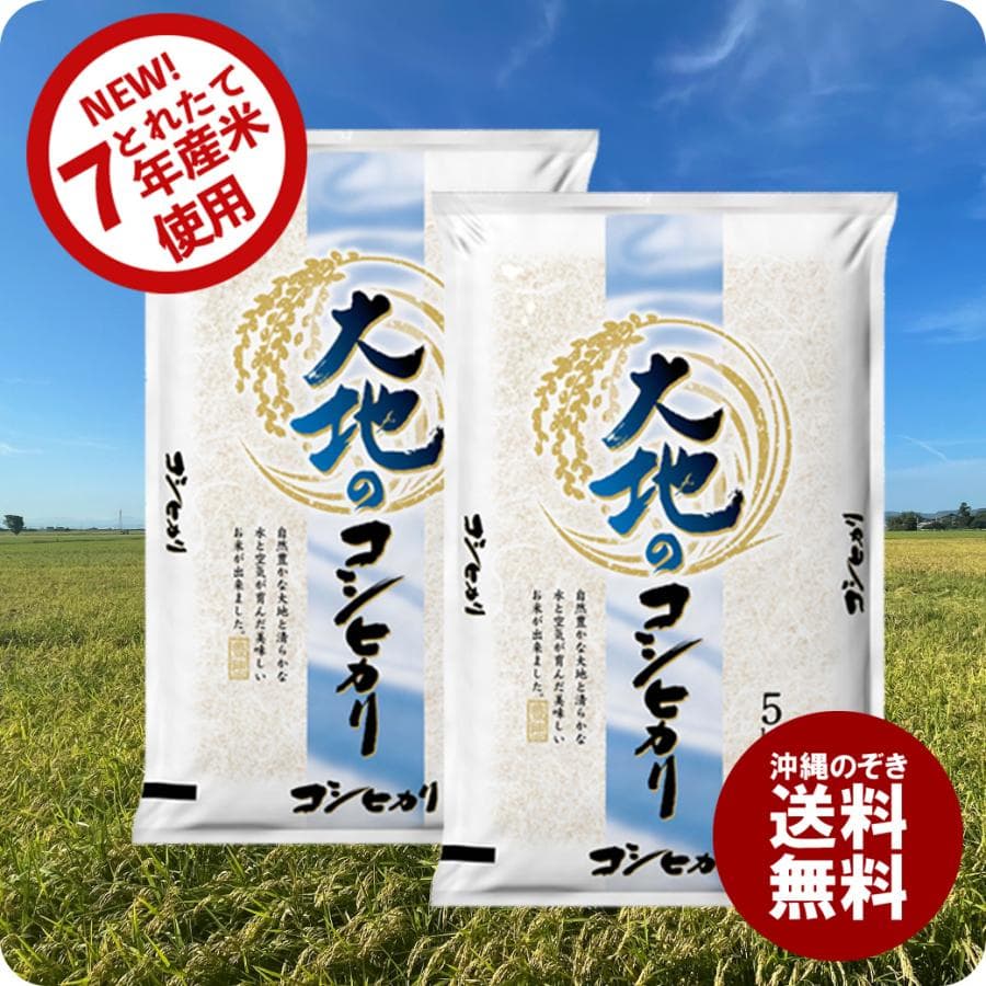 セール中 米 大地のコシヒカリ 10kg お米 10キロ 令和7年産米入り 送料無料 (沖縄のぞく)