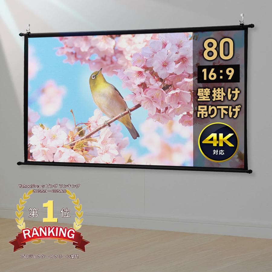 EEX プロジェクタースクリーン 80インチ ワイド 軽量 壁掛け・吊り下げ 4K対応 EEX-PSK3-80HDK