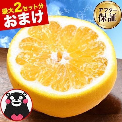 セール 999円 河内晩柑 訳あり みかん 和製 グレープフルーツ 1.5kg 送料無料 夏文旦 晩柑 ジューシー みかん 熊本県産 爆買 1-5営業日以内に発送(土日祝除)|