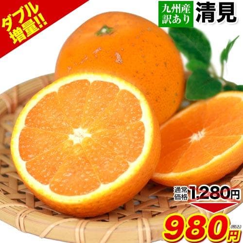 セール 980円 訳あり 清見 1.5kg 約6〜約20玉前後入 送料無料 熊本産 旬 みかん デコポン(不知火) はるみ せとか 生みの親 1-5営業日以内に発送(土日祝除く)