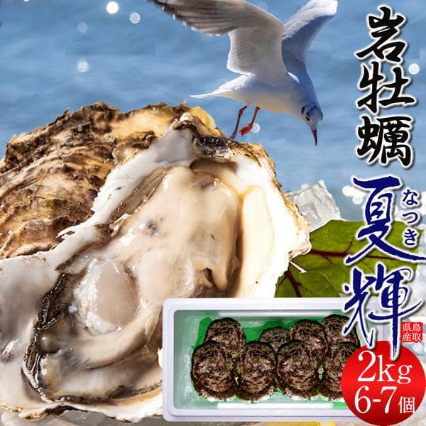 牡蠣【早期割引】2kg［6-7個入］岩牡蠣 天然 生カキ ブランド帯なしお徳用 夏輝 鳥取県産 生食用 岩がき［父の日ギフトお中元］