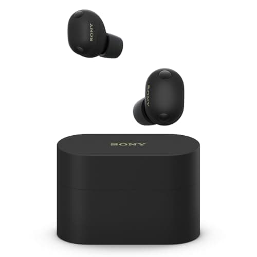 SONY ワイヤレスイヤホン WF-1000XM6 [ブラック][ラッピング可]