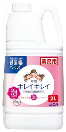 2980円以上で注文可能  キレイキレイ薬用泡ハンドソープ 業務用 2L (1個)