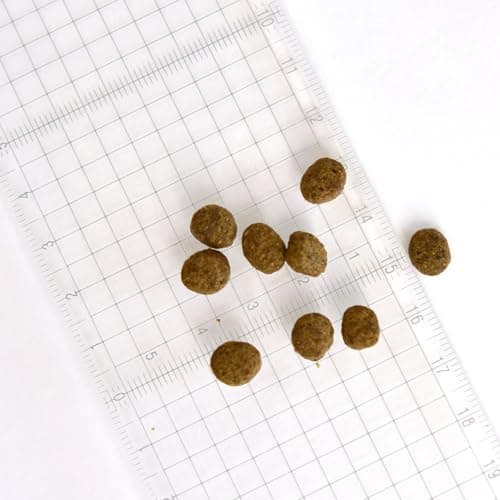 POCHI（ポチ） ザ・ドッグフード ベーシック ワイルドサーモン 1kg 犬 ドライフード 小粒 グレインフリー グルテンフリー 低脂肪 低カロリー 魚肉 鮭 全年齢【公式販売店舗】 9