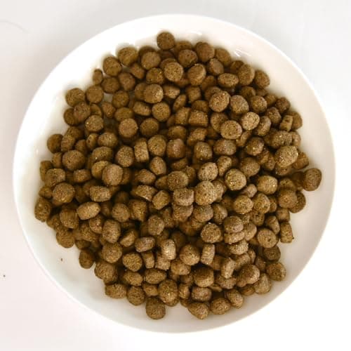 POCHI（ポチ） ザ・ドッグフード ベーシック ワイルドサーモン 1kg 犬 ドライフード 小粒 グレインフリー グルテンフリー 低脂肪 低カロリー 魚肉 鮭 全年齢【公式販売店舗】 7