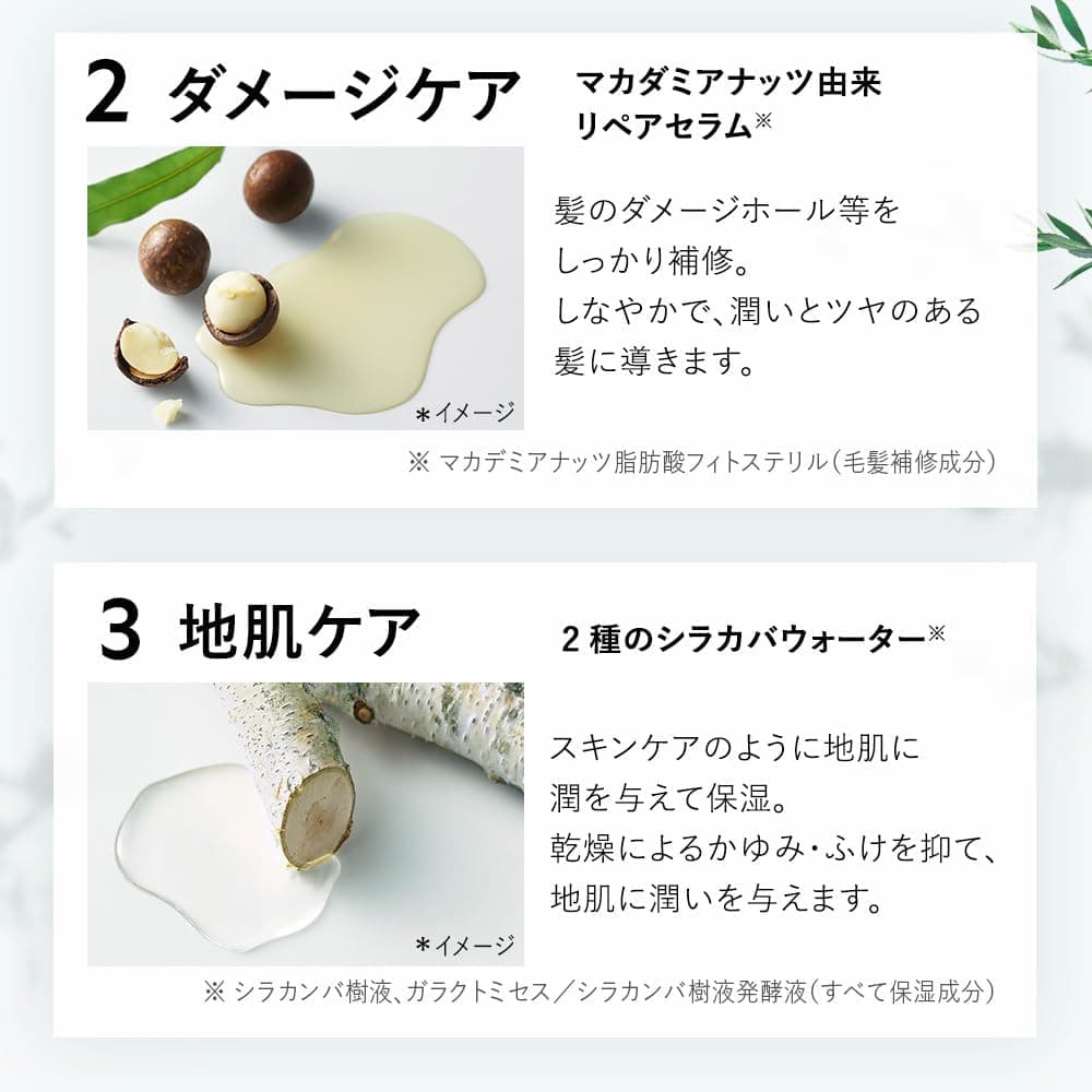 BOTANIST ボタニスト シャンプー トリートメント セット 大容量 詰め替え スムース 【通常品詰替3個分】 10