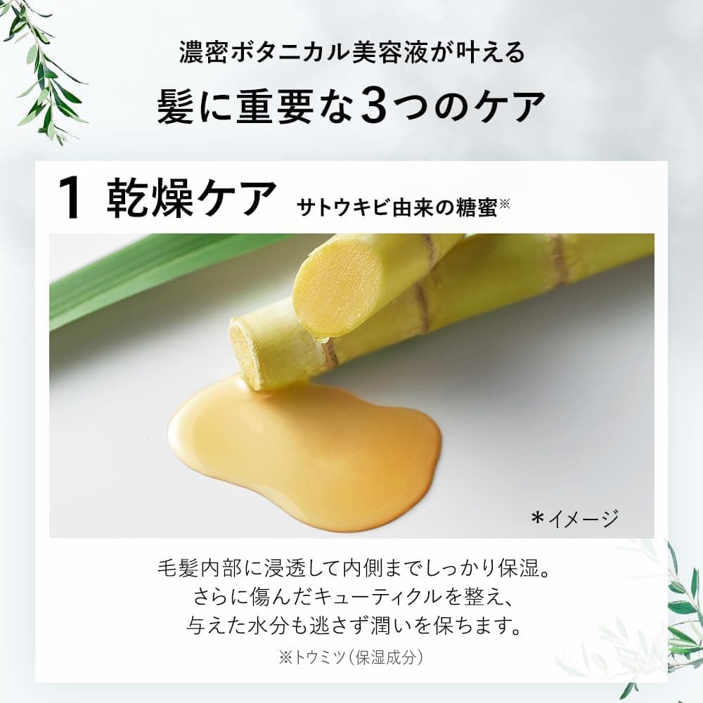 BOTANIST ボタニスト シャンプー トリートメント セット 大容量 詰め替え スムース 【通常品詰替3個分】 9