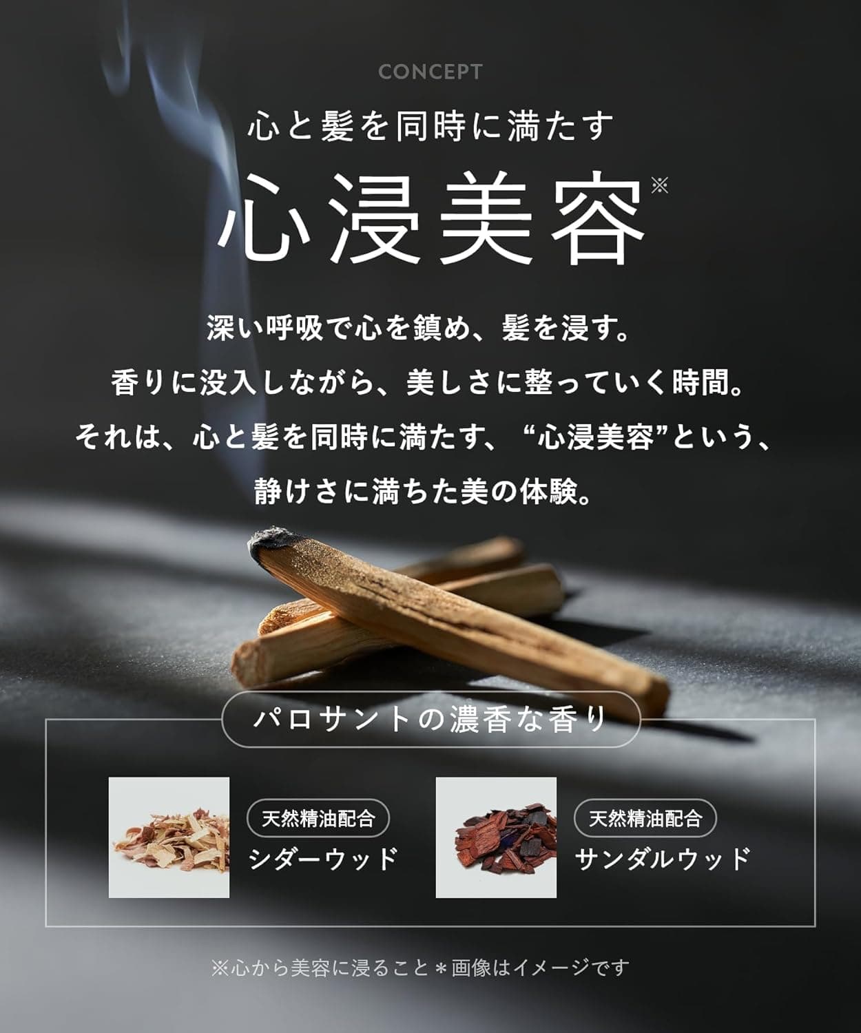 BOTANIST ボタニスト SANTAL サンタル リペア オイルイン シャンプー トリートメント セット ＊ 3