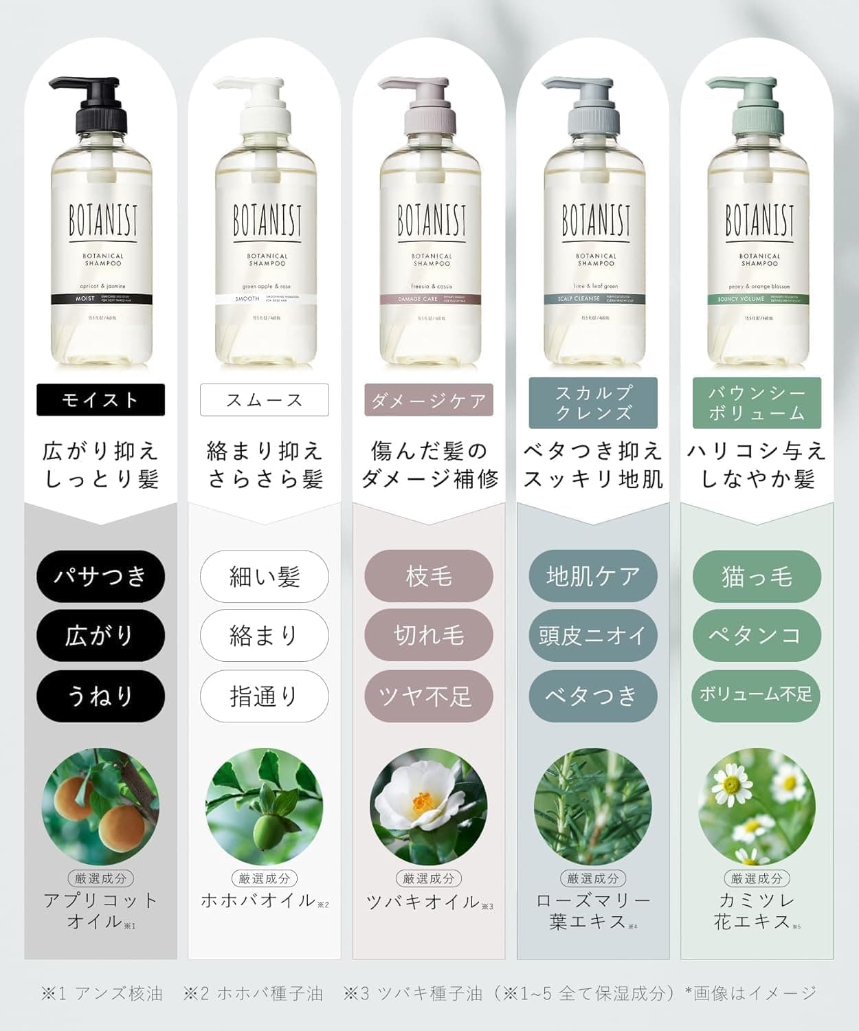 BOTANIST ボタニスト シャンプー トリートメント セット 大容量 詰め替え スムース 【通常品詰替3個分】 3