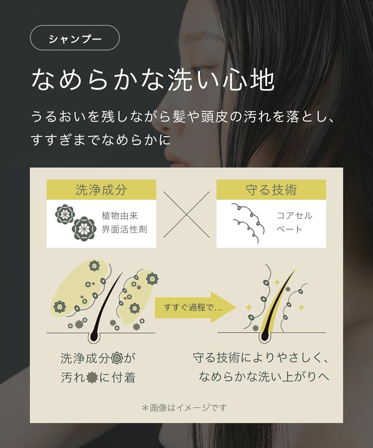 BOTANIST ボタニスト SANTAL サンタル リペア オイルイン シャンプー トリートメント セット ＊ 12